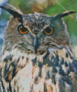 Eagle Owl Bird Diamond Painting