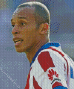 Joao Miranda Diamond Painting