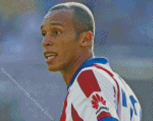 Joao Miranda Diamond Painting