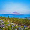 Pico Island Diamond Painting