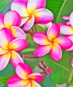 Pink Frangipani Diamond Painting