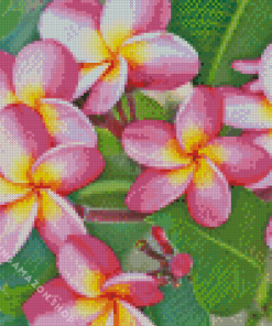 Pink Frangipani Diamond Painting