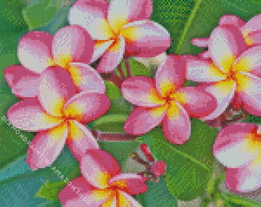 Pink Frangipani Diamond Painting