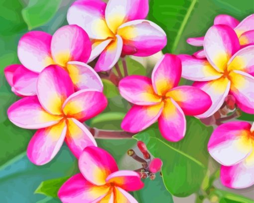 Pink Frangipani Diamond Painting