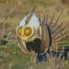 Sage Grouse Bird Diamond Painting