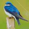 Swallow Blue Bird Diamond Painting