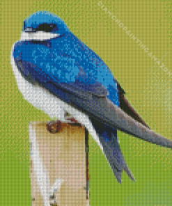 Swallow Blue Bird Diamond Painting