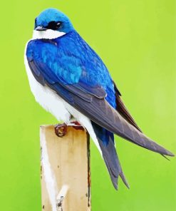 Swallow Blue Bird Diamond Painting