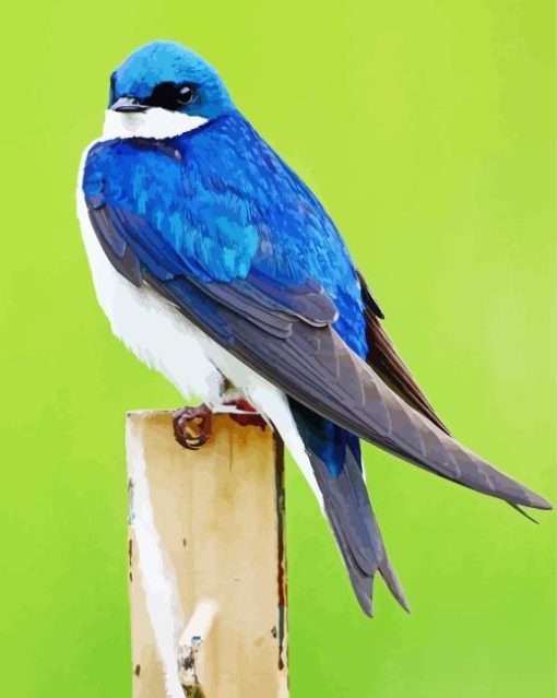 Swallow Blue Bird Diamond Painting