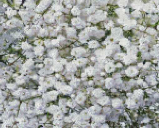 White Gypsophila Diamond Painting