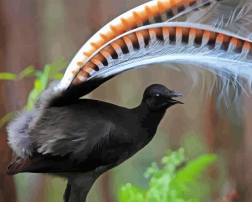 Black Lyrebird Diamond Painting