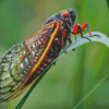 Cicadas Diamond Painting