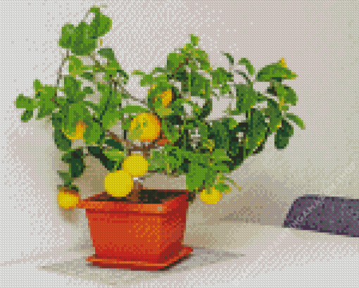 Lemons Tree Pots Diamond Painting