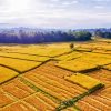 Sekinchan Padi Fields Diamond Painting