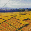 Sekinchan Padi Fields Diamond Painting