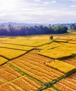 Sekinchan Padi Fields Diamond Painting