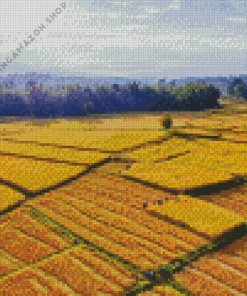 Sekinchan Padi Fields Diamond Painting