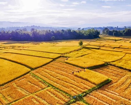 Sekinchan Padi Fields Diamond Painting
