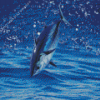 Skipjack Diamond Painting