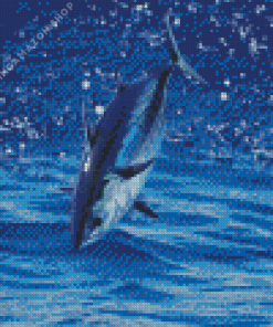 Skipjack Diamond Painting