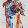 Splatter Greyhound Diamond Painting