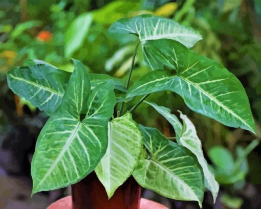 Syngonium Leaf Diamond Painting