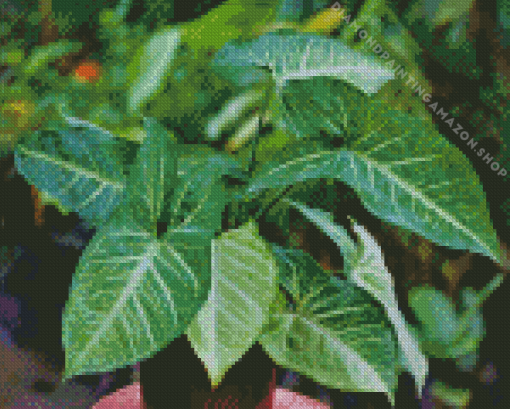 Syngonium Leaf Diamond Painting