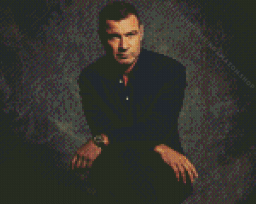 Liev Schreiber Diamond Painting