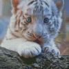 Tiger With Blue Eyes Diamond Painting