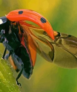 Ladybug Insect Diamond Painting