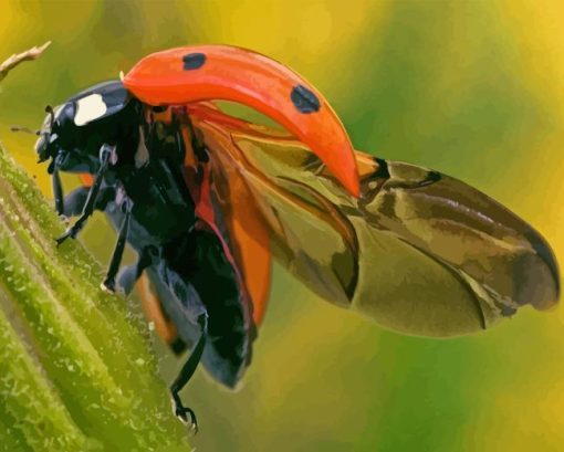 Ladybug Insect Diamond Painting