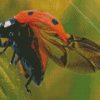 Ladybug Insect Diamond Painting