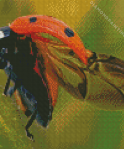 Ladybug Insect Diamond Painting