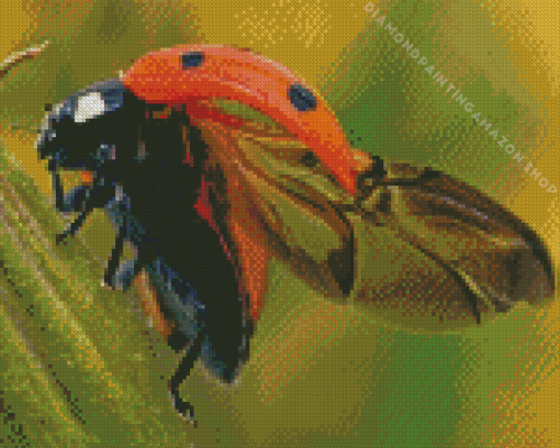 Ladybug Insect Diamond Painting