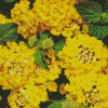 Yellow Lantana Diamond Painting