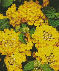 Yellow Lantana Diamond Painting