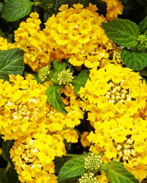 Yellow Lantana Diamond Painting