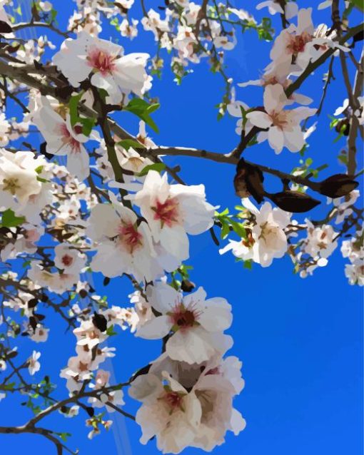 Almond Flower Diamond Painting