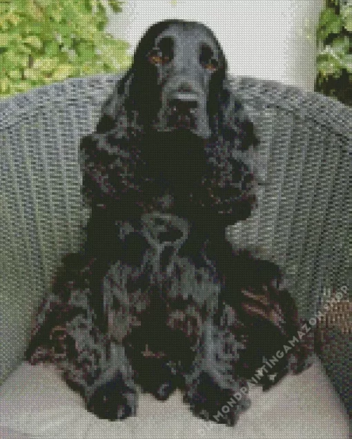 Spaniel On Chair Diamond Painting