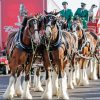 Budweiser Clydesdales Diamond Painting