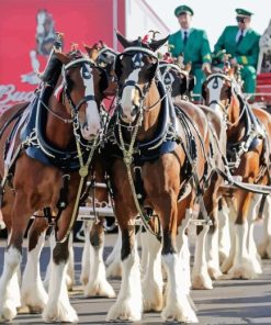 Budweiser Clydesdales Diamond Painting