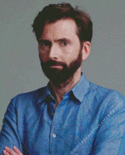 David John Tennant Diamond Painting