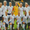 England Womens Team Diamond Painting