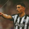 Fabian Schar Diamond Painting