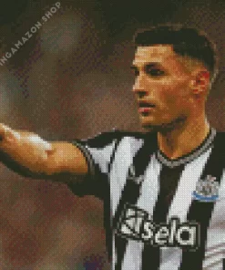 Fabian Schar Diamond Painting