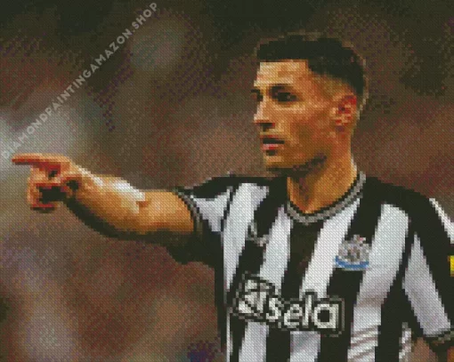 Fabian Schar Diamond Painting