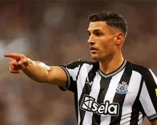 Fabian Schar Diamond Painting