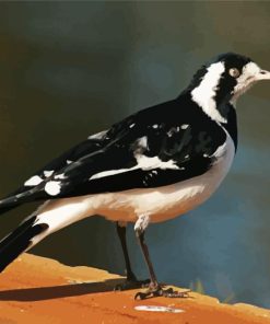 Magpie Lark Diamond Painting