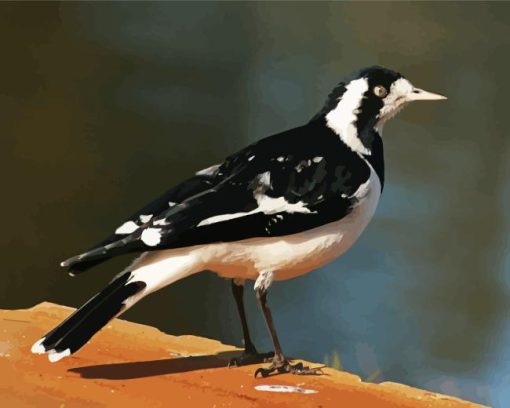 Magpie Lark Diamond Painting