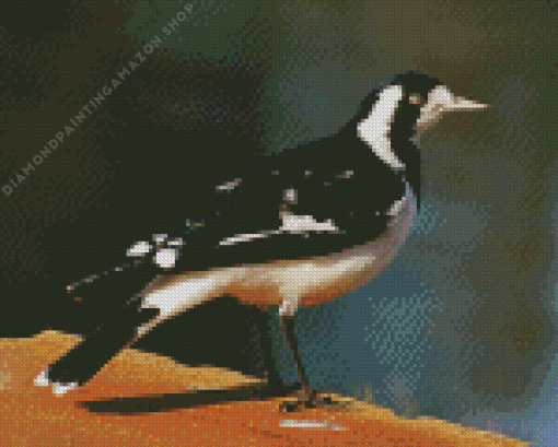 Magpie Lark Diamond Painting